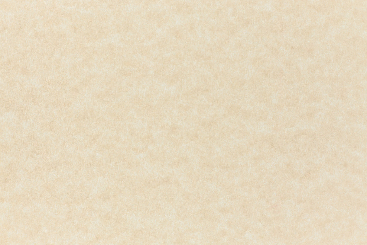 Brown Text Weight Samples