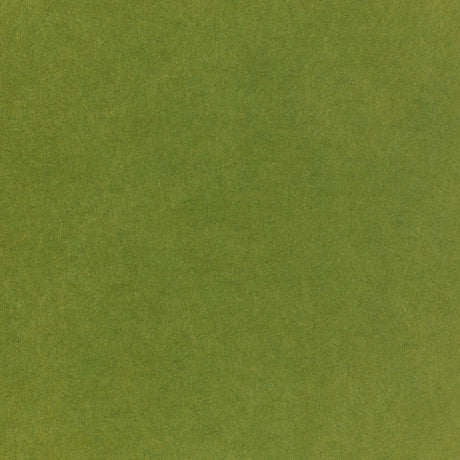 Pop-Tone Jellybean Green 80. lb Cover