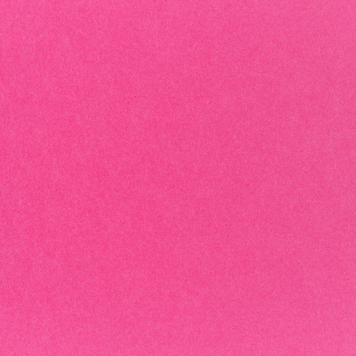 Pop-Tone Razzleberry 80. lb Cover