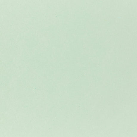 Pop-Tone Spearmint  80. lb Cover