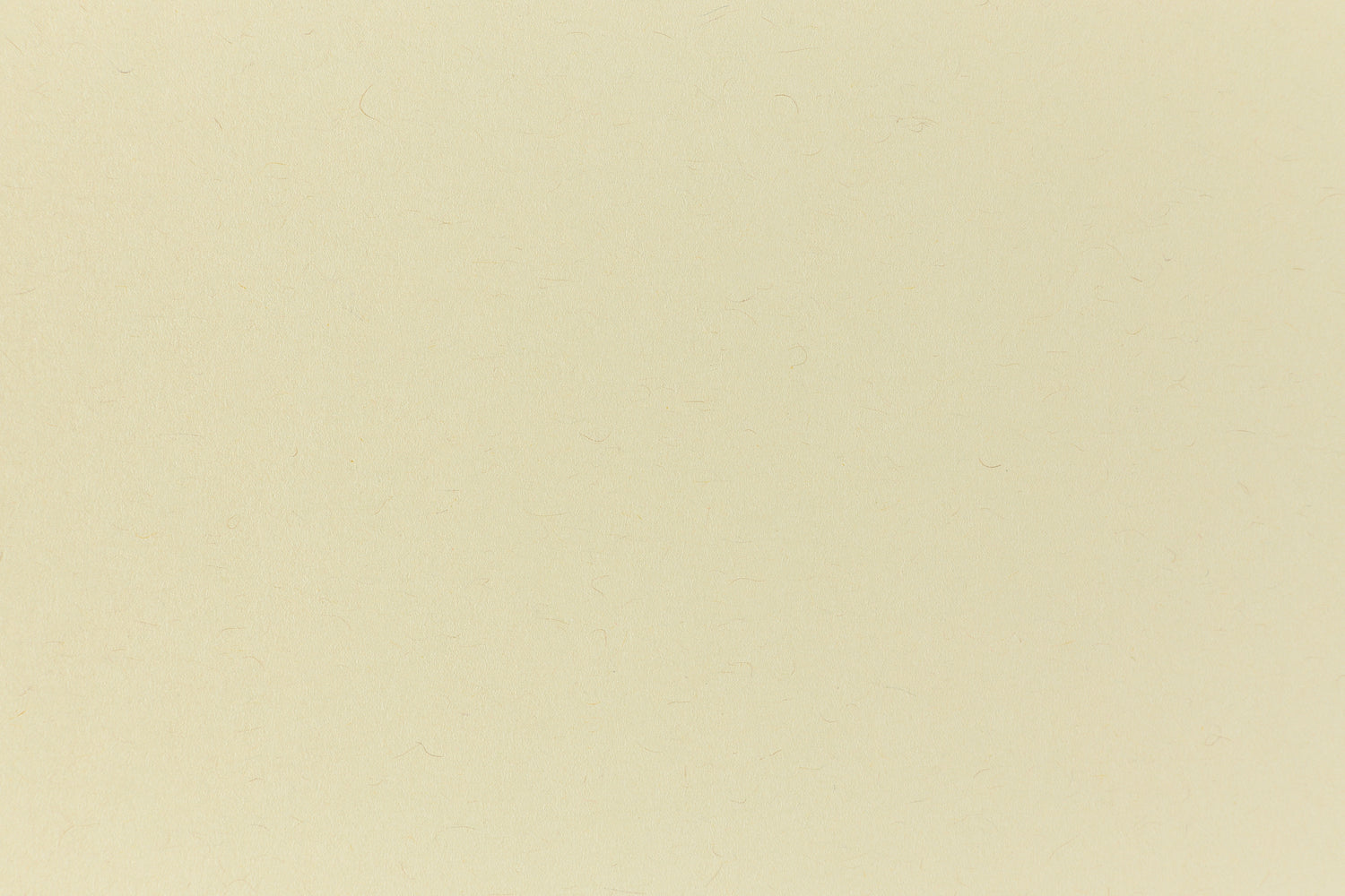 Cement green cardstock viewed in close detail.