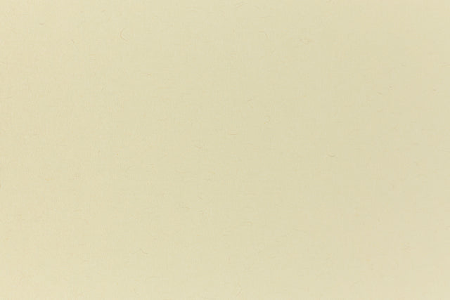 Cement green cardstock viewed in close detail.