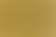 Close up view of green construction-style cardstock paper.