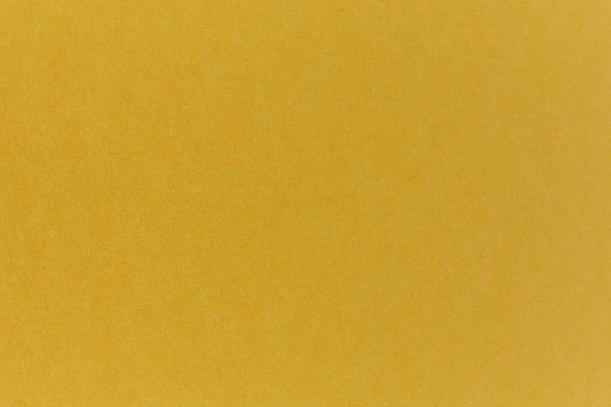 Brilliant green cardstock construction paper.