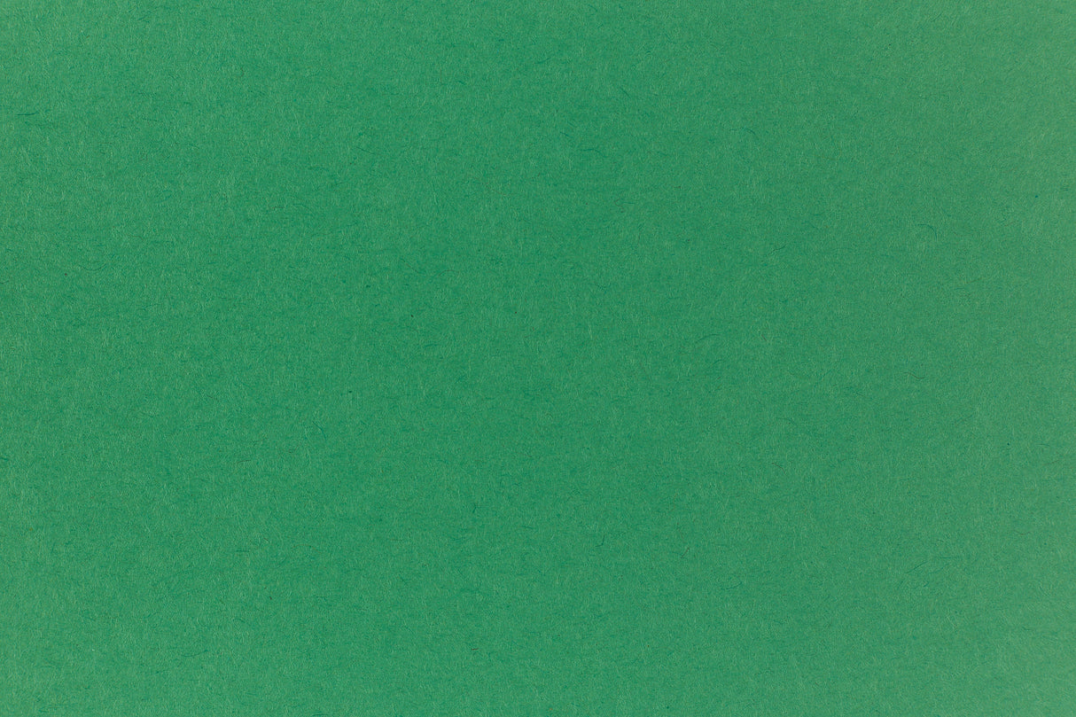 Light green cardstock paper for crafts.