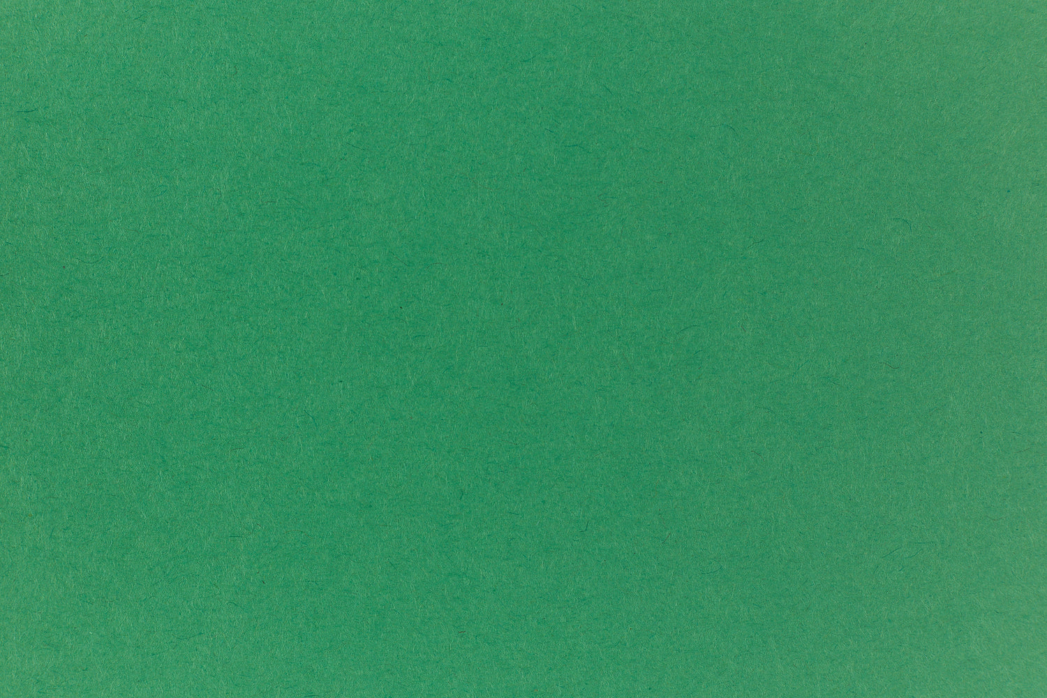 Light green cardstock paper for crafts.
