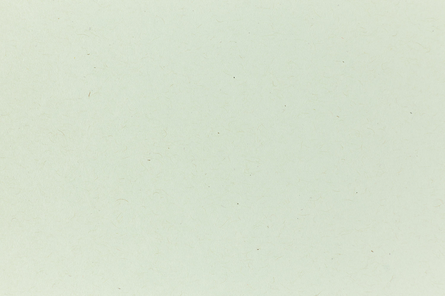 Ledger Green Kraft Envelope (Kraft-Tone)