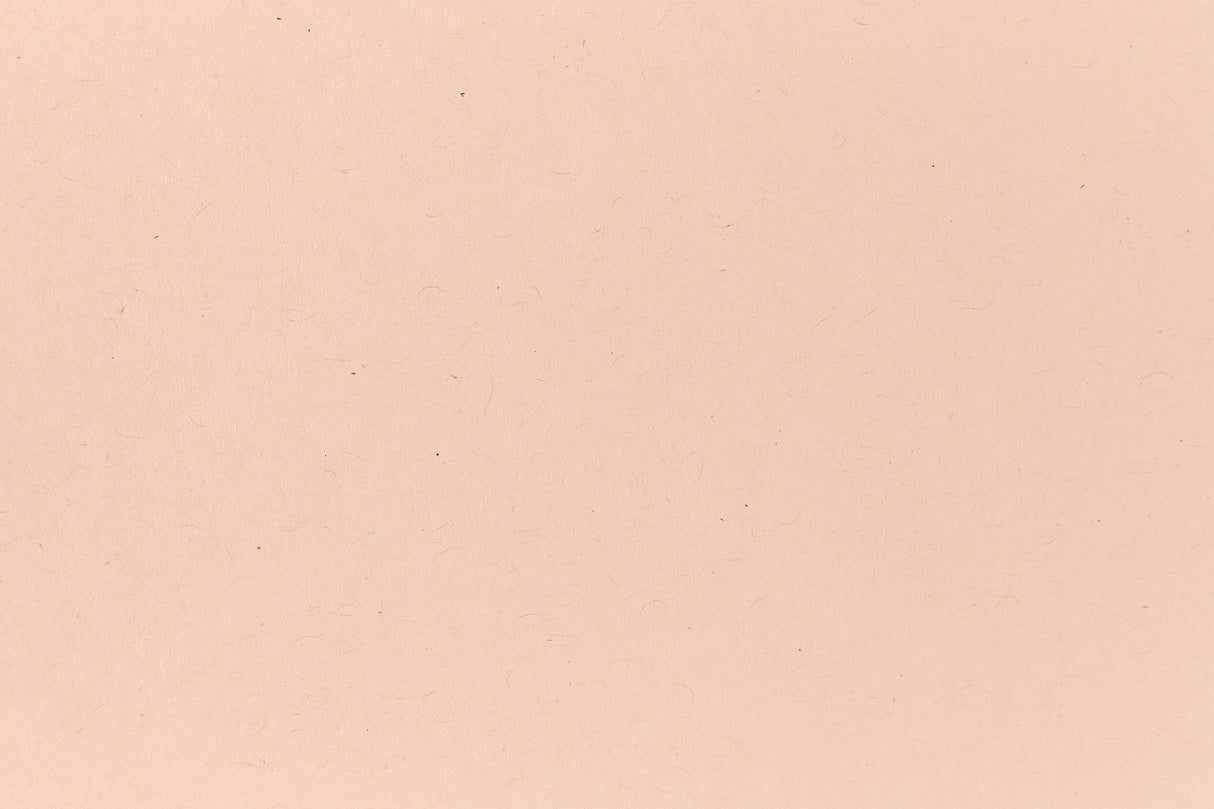 Memo Orange Kraft Envelope (Kraft-Tone)