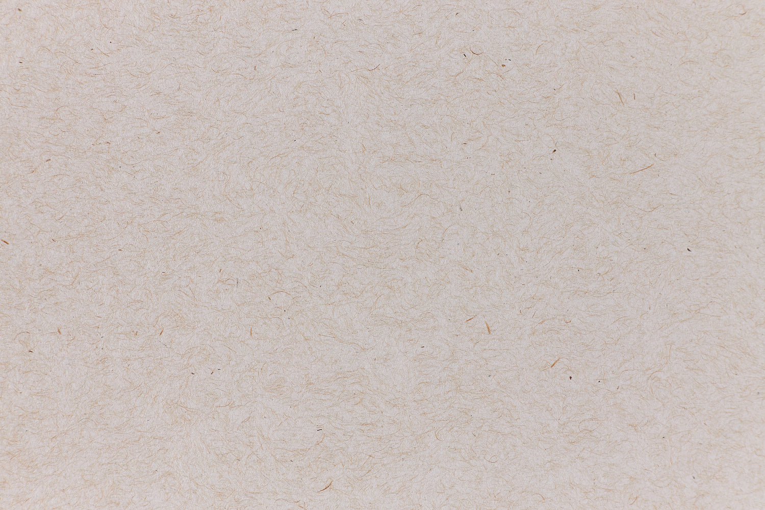 Packing Chip Kraft Envelope (Kraft-Tone)