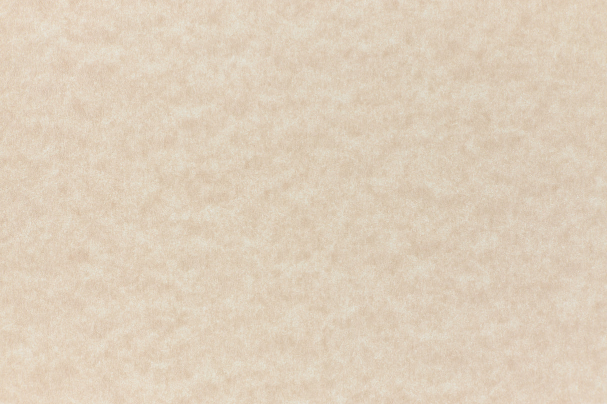 Light brown parchment paper sample.