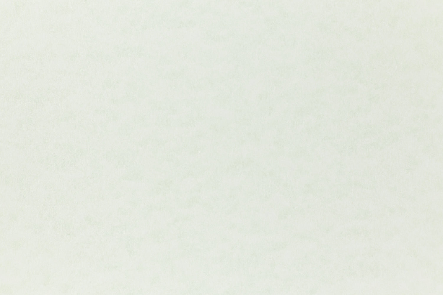 Light green cardstock paper for arts and crafts.