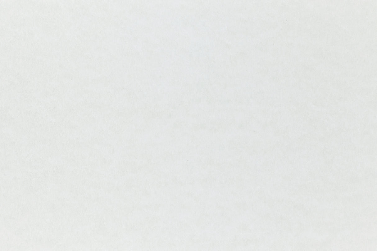 White cardstock paper with just a subtle hint of blue.