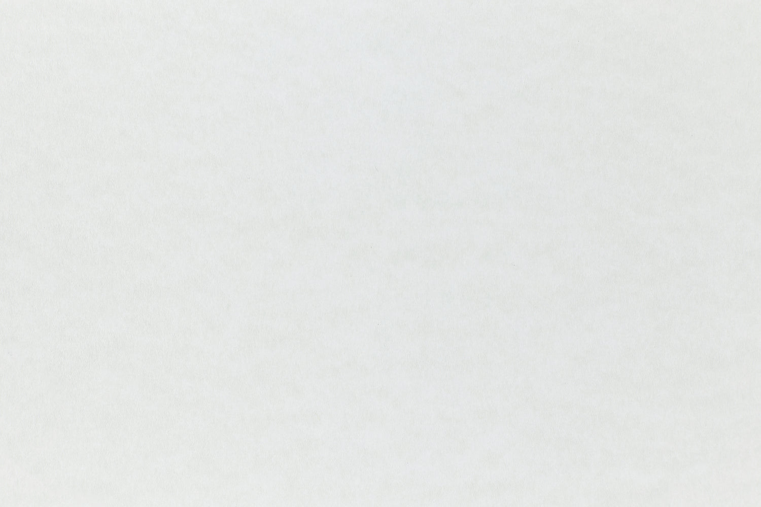 White cardstock paper with just a subtle hint of blue.