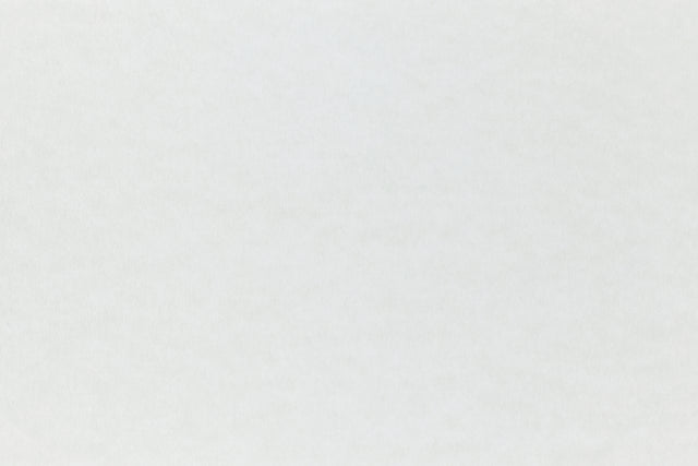 White cardstock paper with just a subtle hint of blue.