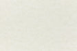 Nearly white cardstock paper sample.