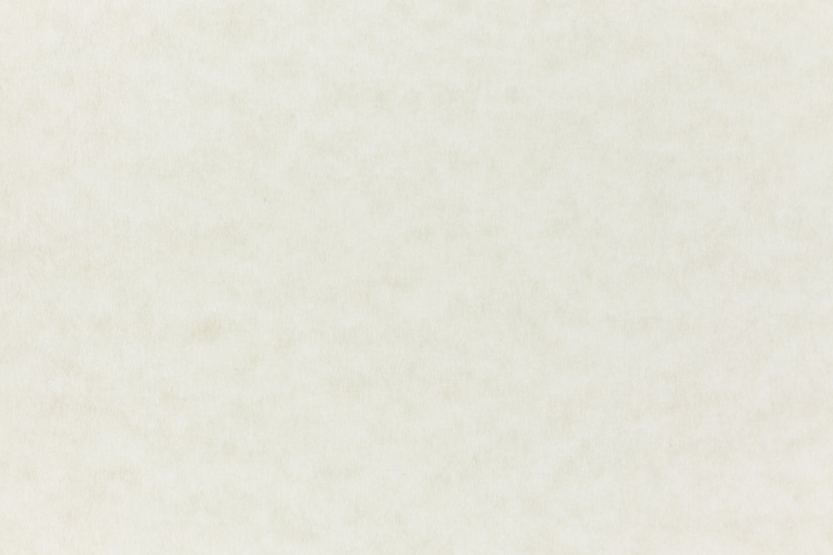 Nearly white cardstock paper sample.