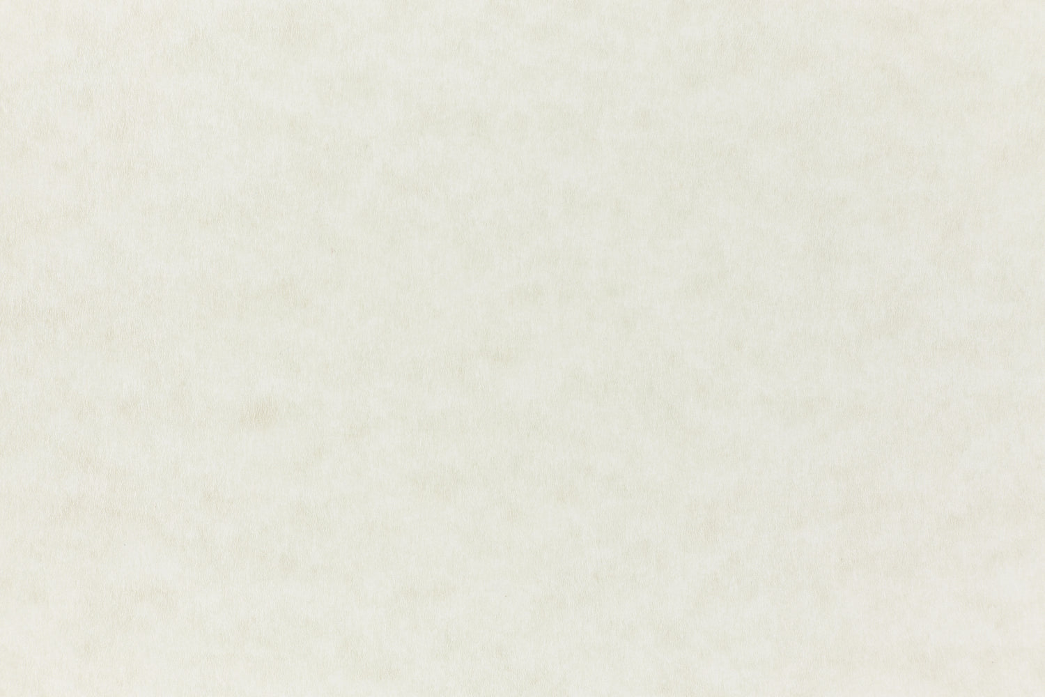 Nearly white cardstock paper sample.