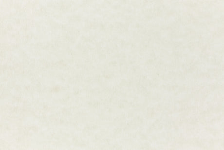 Nearly white cardstock paper sample.