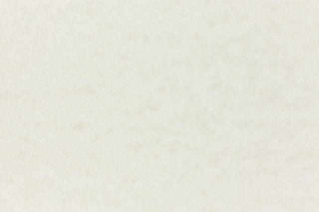 Nearly white cardstock paper sample.