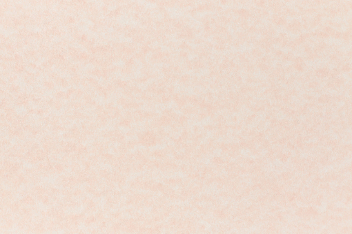 Salmon cardstock paper sample.