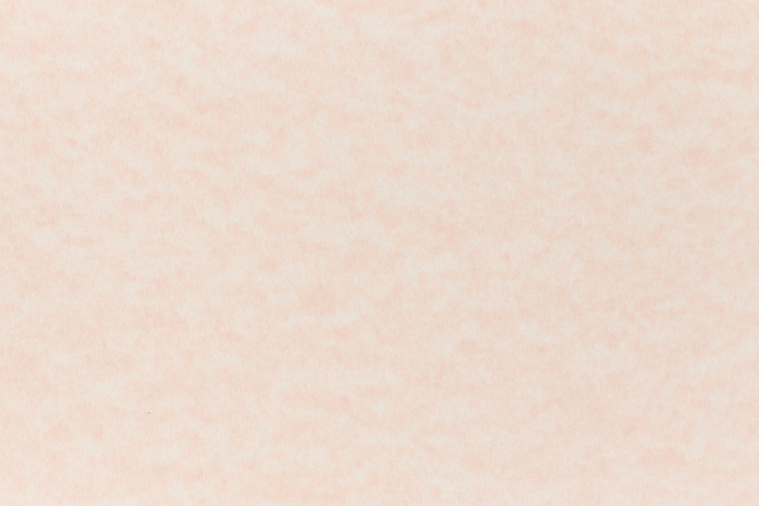 Salmon cardstock paper sample.