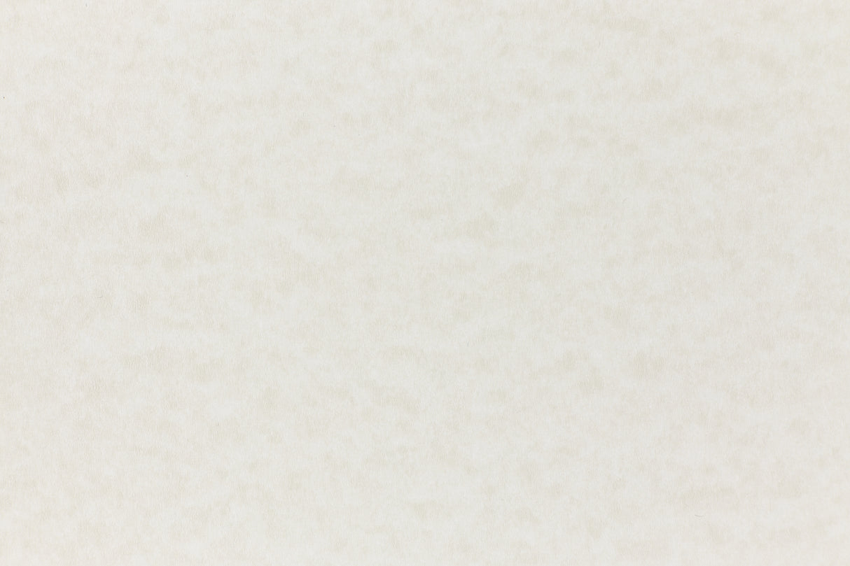 Off-white paper viewed in close detail.