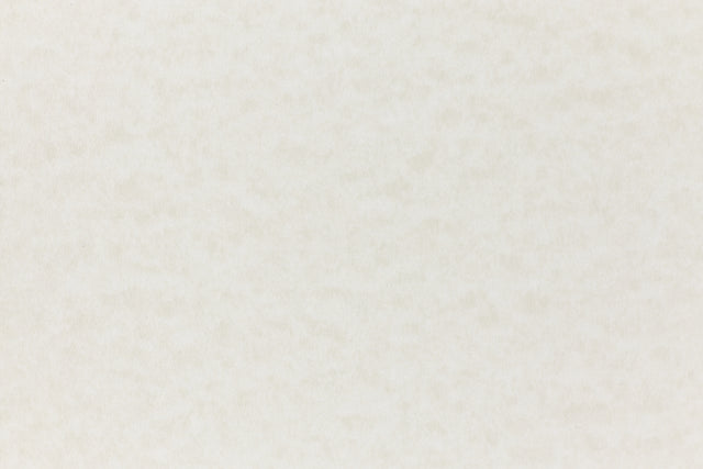 Off-white paper viewed in close detail.