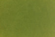 Candy green crafting paper.