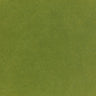 Pop-Tone Jellybean Green 80. lb Cover