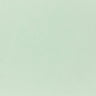 Pop-Tone Spearmint  80. lb Cover