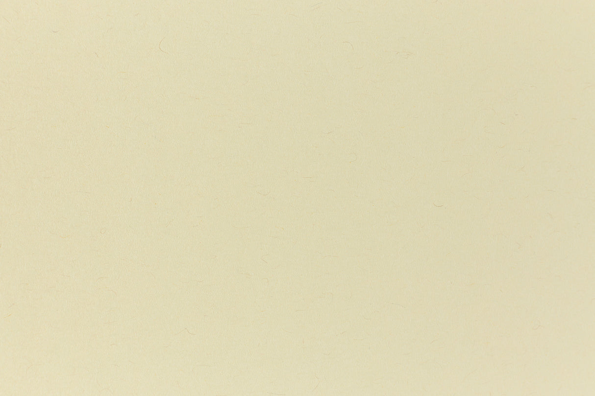 Cement green cardstock viewed in close detail.