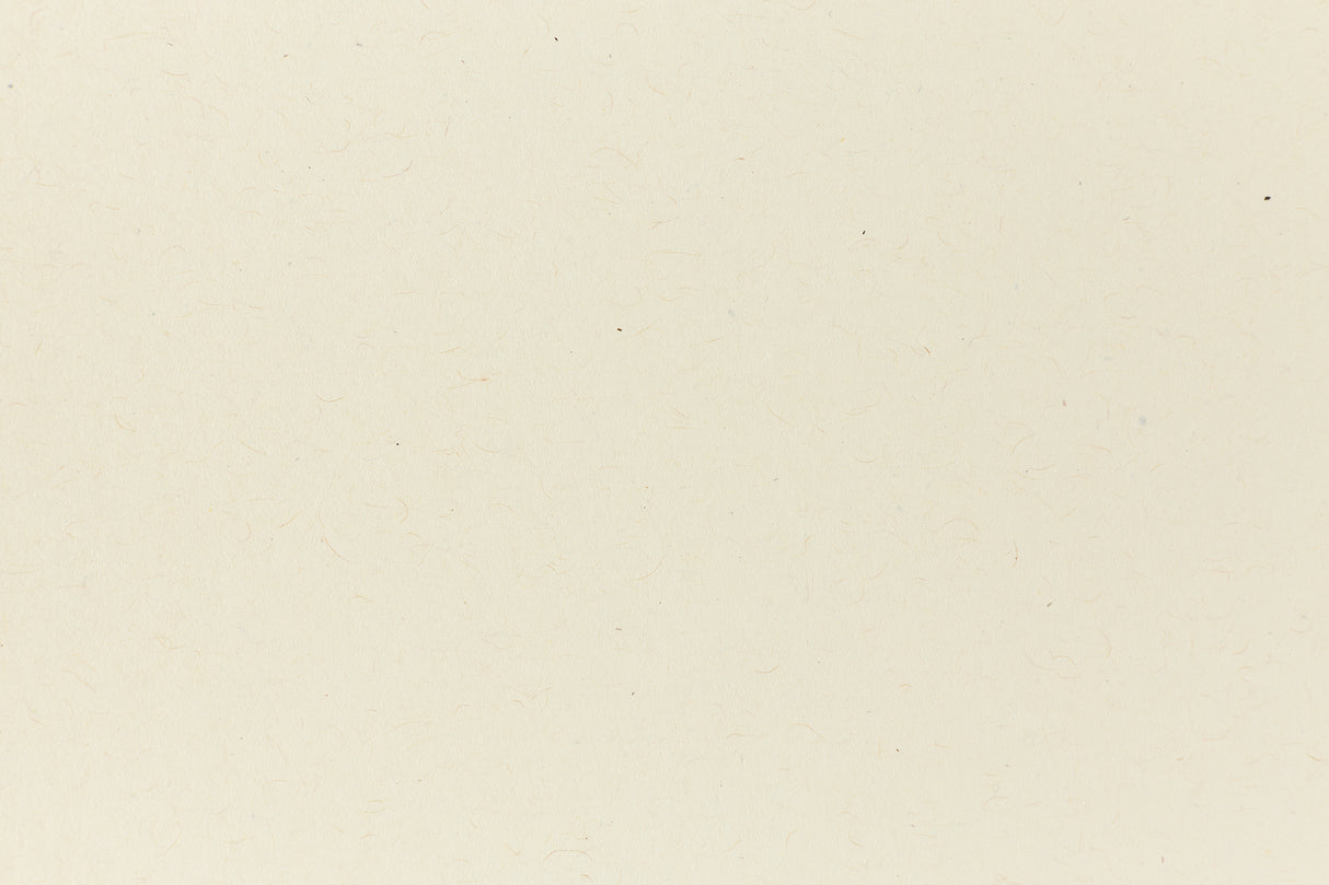 White Cardstock Samples