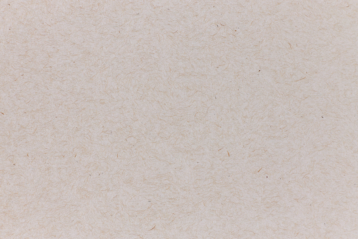 Packing Chip Kraft Envelope (Kraft-Tone)