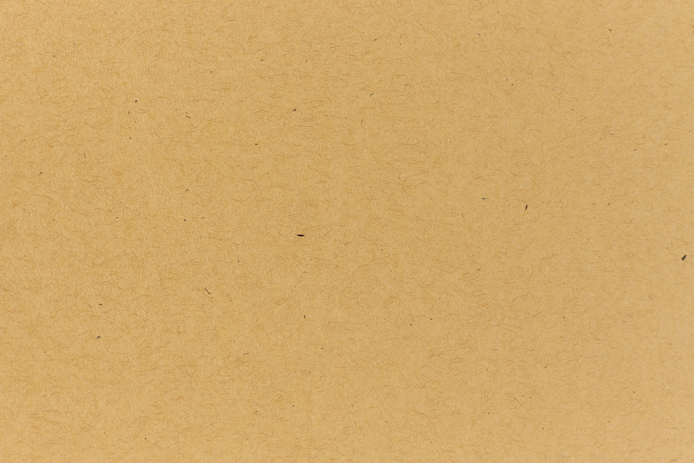 Paper Bag Kraft Envelope (Kraft-Tone)