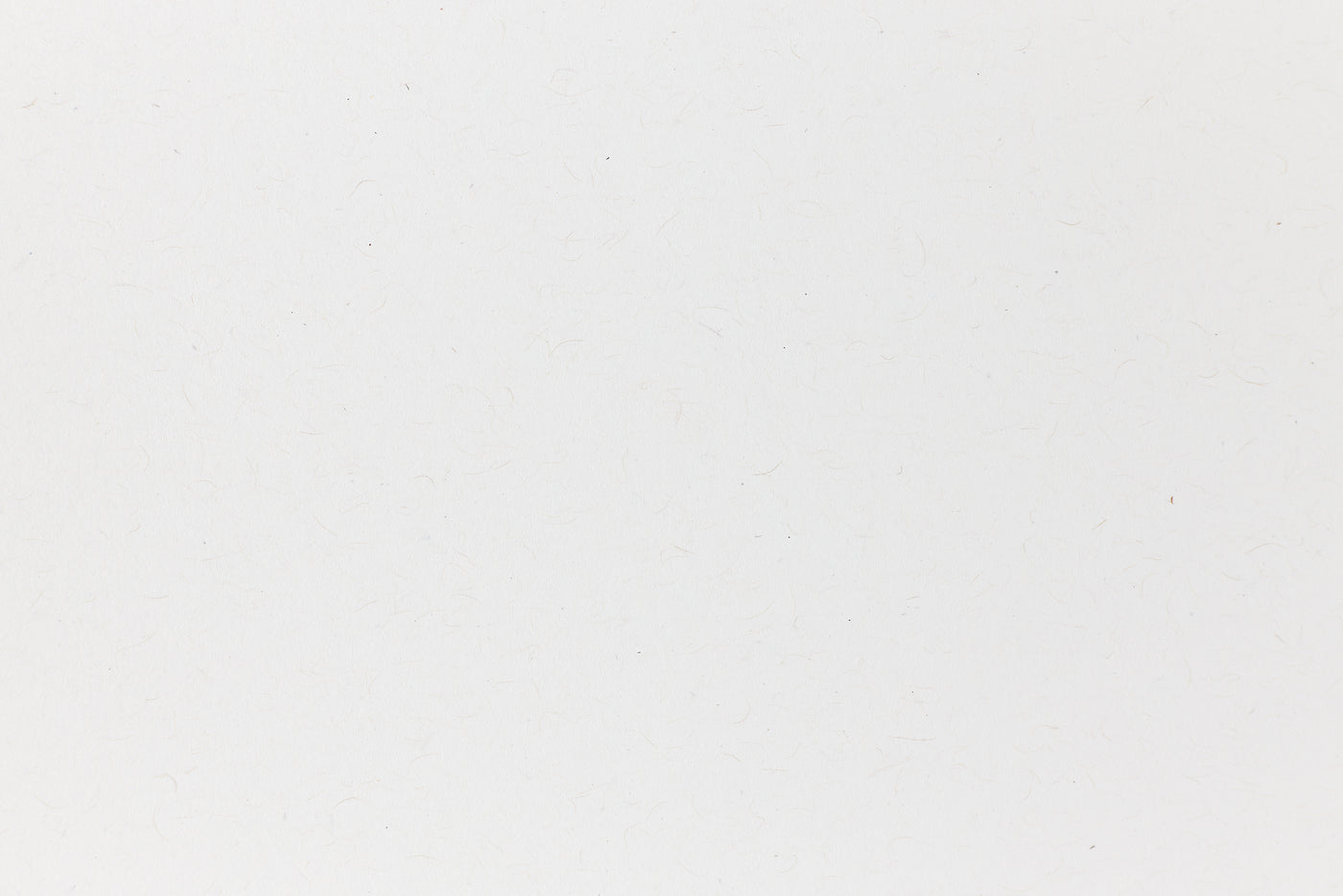 White cardstock paper viewed in close detail. 