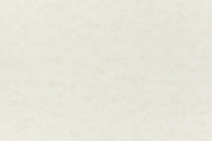 Nearly white cardstock paper sample. 