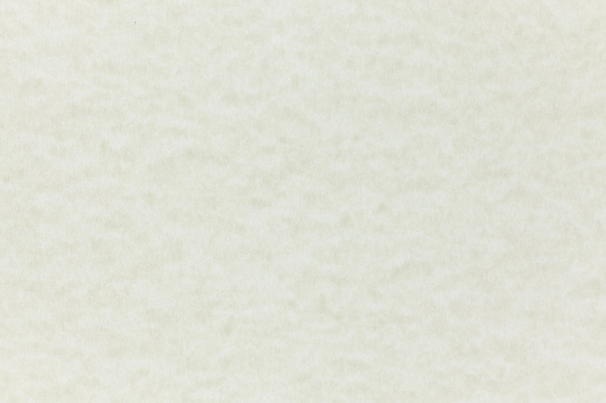 Sage Paper (Parchtone, Text Weight)