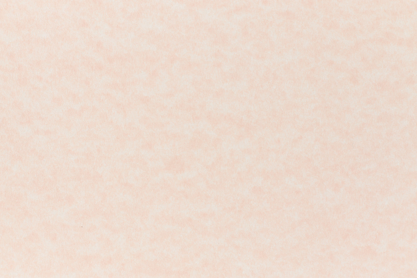 Salmon Paper (Parchtone, Text Weight)