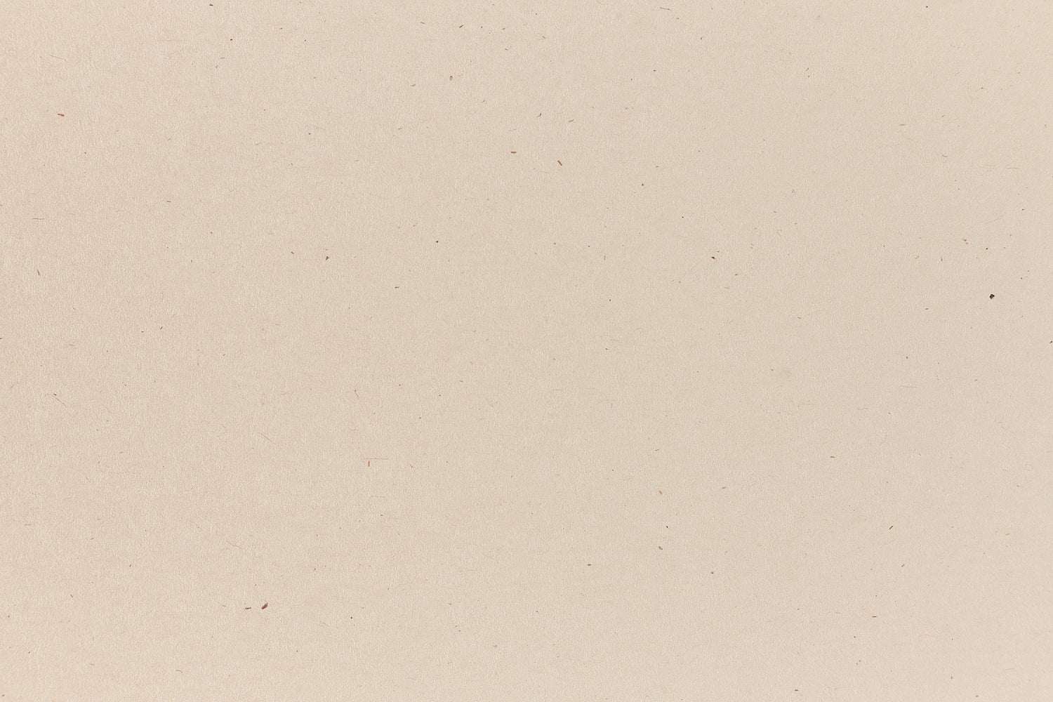 Nearly white cardstock Speckletone paper. 