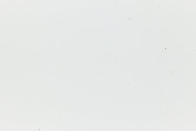 White cardstock with hints of colored fiber. 