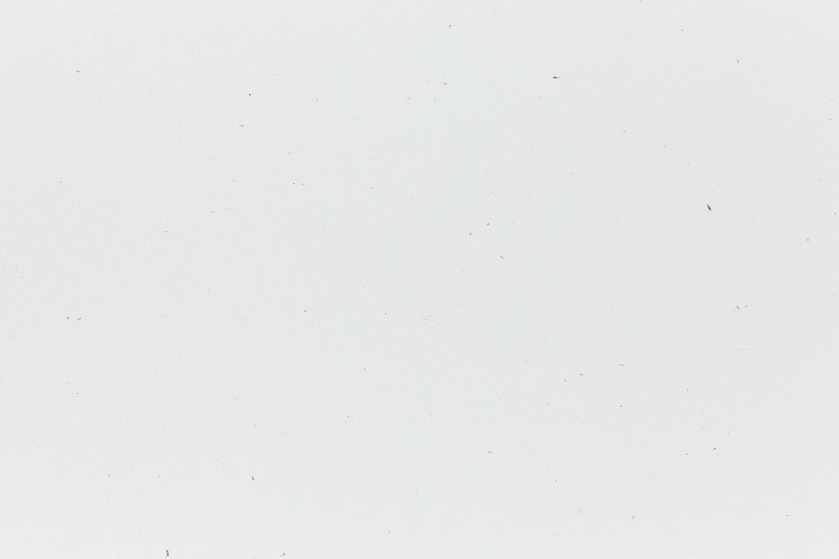 Starch Rain Paper (Speckletone, Text Weight)