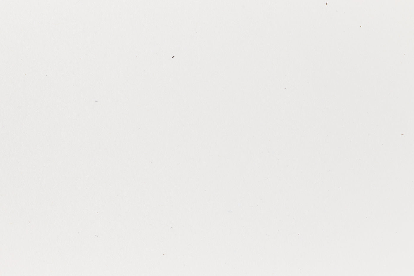 Immaculately white crafting paper viewed in detail. 